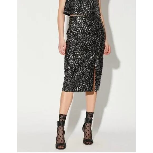 Women's Walter Baker Gatsby Josette Embellished Mesh Pencil Gypsy Skirt size 4 - Picture 1 of 7